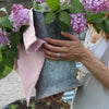 *LAST CHANCE* Organic Cotton Tea Towel