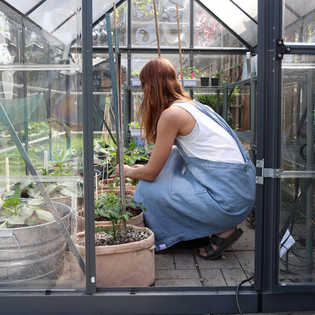  Woman planting herbs in her garden 