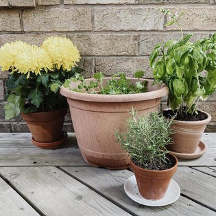  Outdoor garden planters on a deck 